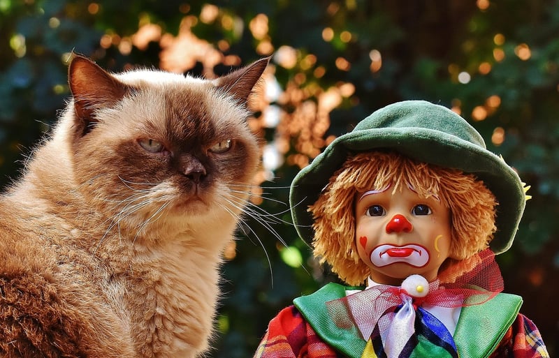 Popsicle Stick Puppets